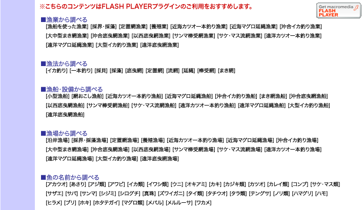 ̃RecFLASH PLAYERp邱Ƃ߂܂B