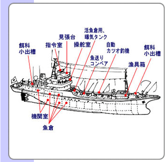 遠洋カツオ一本釣り漁船 遠洋カツオ一本釣り漁船 ■ 遠洋カツオ一本釣り漁船 マグロ船に比べると全