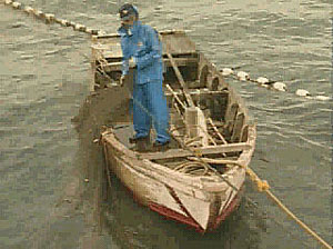 沿岸漁業