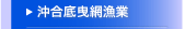 gԋ