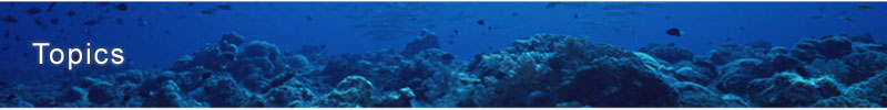 JAPAN FISHERIES ASSOCIATION